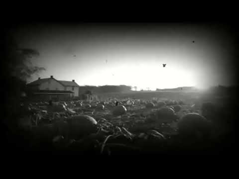 TKZS’ LER KURULDU - Kadriye Lâtifova