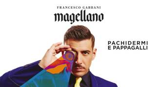 Francesco Gabbani - Pachidermi e pappagalli