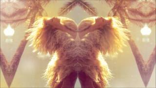 Datarock - Princess (Morgan Z Remix)