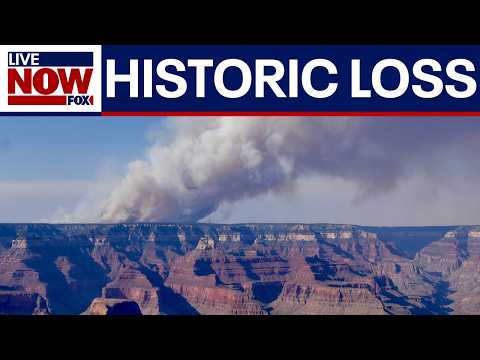 Video | Historic Grand Canyon site destroyed by wildfire | LiveNOW from FOX