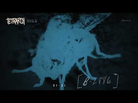 TETRARCH - Cold (Official Visualizer) | Napalm Records