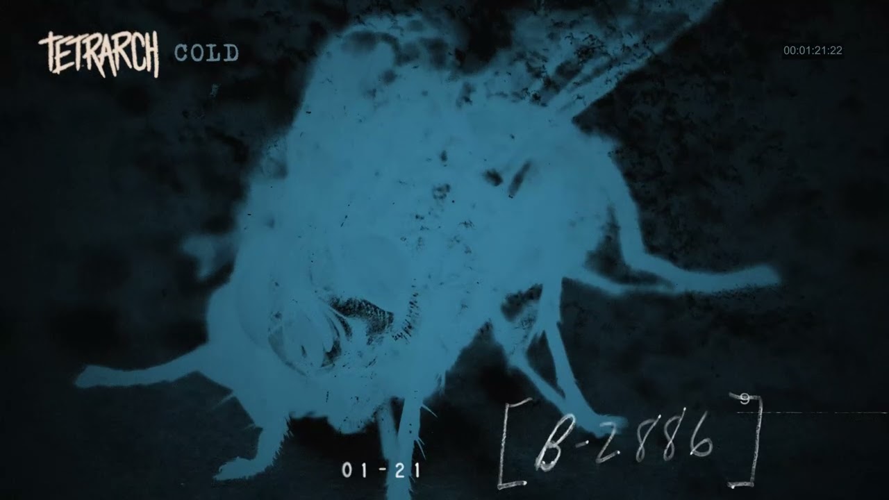 TETRARCH - Cold (Official Visualizer) | Napalm Records - YouTube