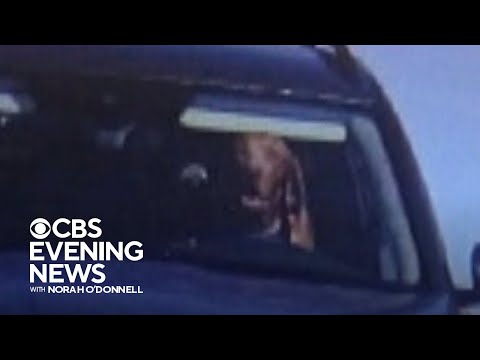 Slovakian driver fined after traffic camera shows dog behind wheel of car