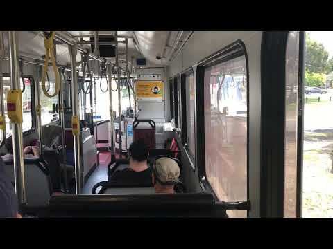 Sydney Buses 2020 ST - Mercedes Benz O500LE CNG (ZF)