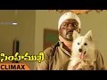Simhamukhi Movie Climax Scene Simhamukhi Telugu Movie Parthipan Namitha