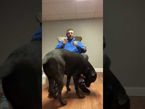 Probiotics For Allergic Rhinitis