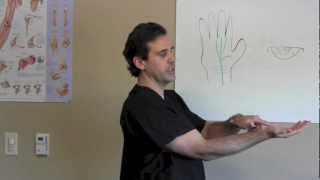 preview picture of video 'Carpal Tunnel Syndrome - Sports Doctor Houston Sugar Land TX - Dr J Michael Bennett'