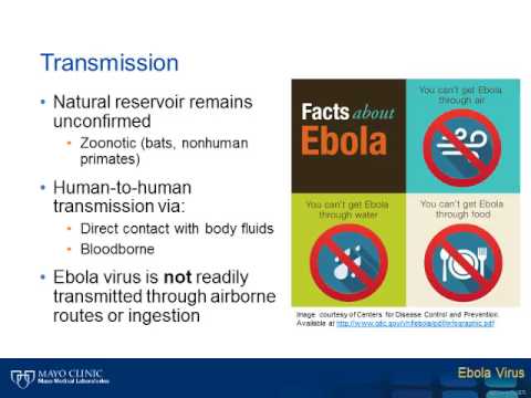 Ebola Virus [Hot Topic]