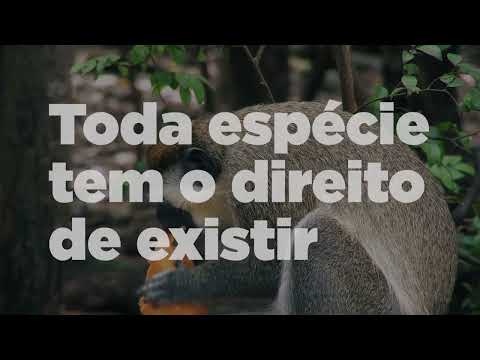 Pílulas 🗂️ Preservar é Lei | Biologia da conservação