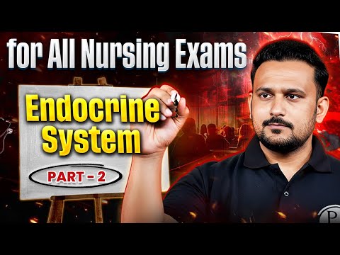 Endocrine System Anatomy and Physiology | Part 2 | For All Nursing Exam | Norcet 10 Theory Class