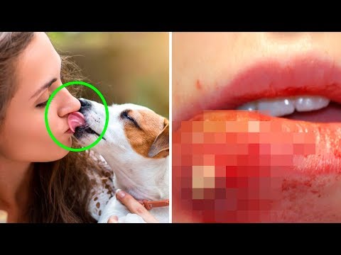 YouTube video about: What to do if dog licks baby mouth?