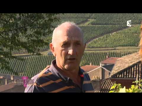 comment financer un domaine viticole