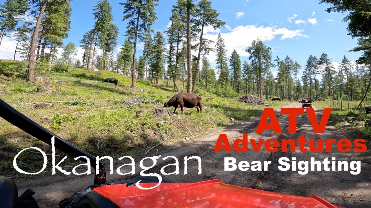 Okanagan ATV Tour