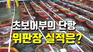 초보어부의 단항위판 실적은 - 리얼귀어일지 EP8