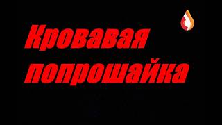 Кровавая попрошайка