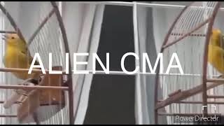 ALIEN CMA