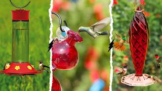 7 Best Hummingbird Feeders 2026! (No Leaks, No Bees!)