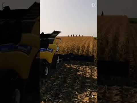 Harvesting Corn 🌽 🌽 🌽  New Holland Harvester - Stone Valley - Farming Simulator