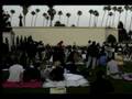 Cinespia to M Ward's One Life Away