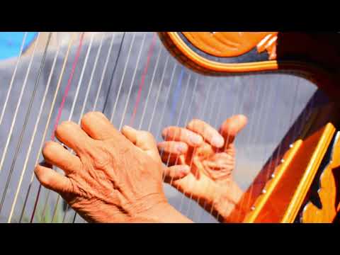 CARLOS DÍAZ - SELECCIÓN DE POLCAS 2