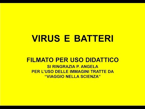Soluzione per aglio da vermi Prevenzione di helminths alla persona
