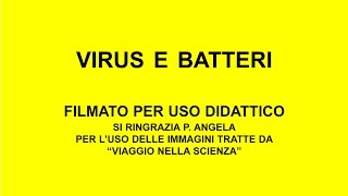 VIRUS e BATTERI P Angela