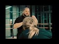 Fighting reel