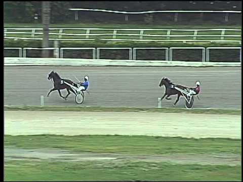 Trotto 01/10/2015 - 2° prova di qualifica