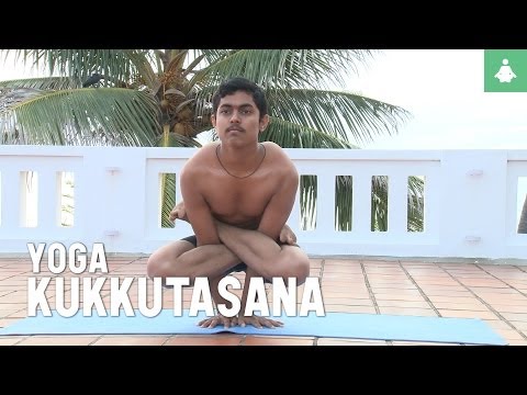 Learn yoga poses: Kukkutasana (rooster pose)