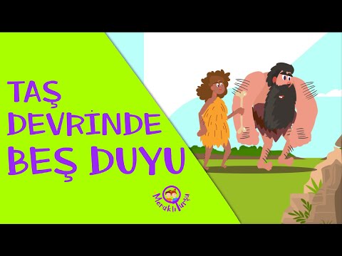 Duyu Organlarımız | Muhteşem Vücudumuz Serisi