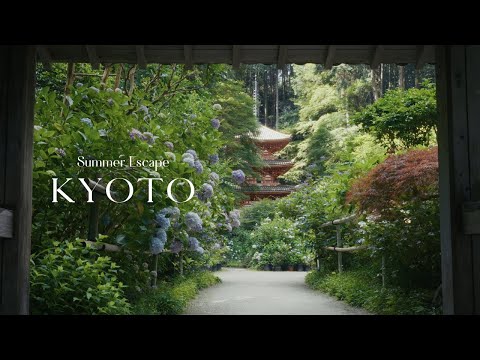 Summer Escape to a Flower Temple and The Stone Buddha's Path in  KYOTO’s Countryside 🌿 | Japan Vlog