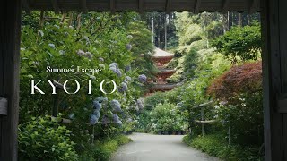 교토 산골 마을의 꽃 사찰로 떠난 여름 여행 🌿 | 일본 브이로그