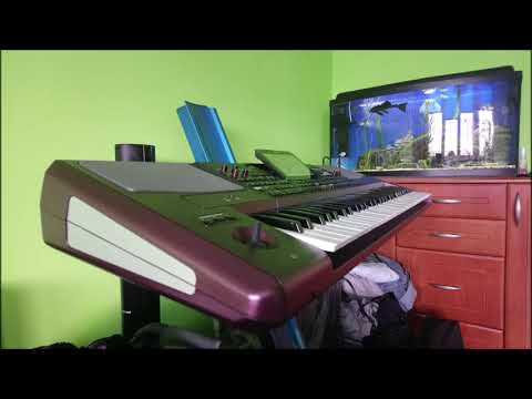 Gonzo - Korg Pa 1000 & Nana - Dancing Queen