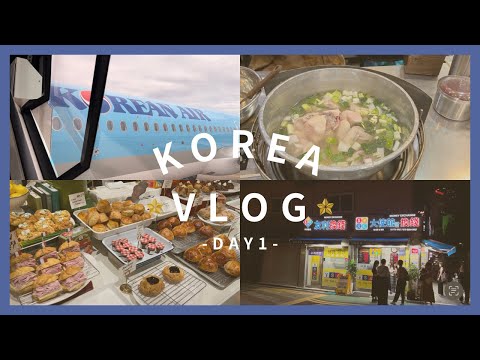 [Vlog Coreano] Primeira visita à Coreia por 2 noites e 3 dias, ao tão comentado Hyundai Seul