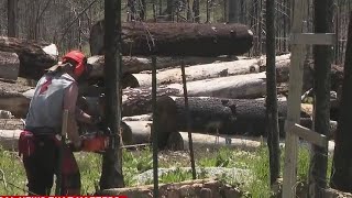 Grizzly Flats community continues rebuilding after Caldor Fire