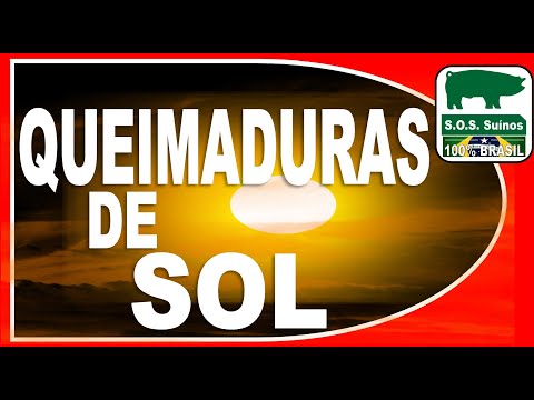 , title : 'SUINOCULTURA: QUEIMADURAS DE SOL'