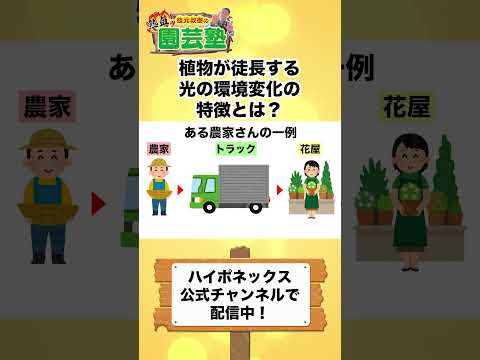気候に関係なく植物の成長期を延長することはできるでしょうか?そう、ワリピニ温室のおかげです！  庭園