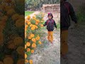 Nikhil Aaya Phool Phool To Le Gaya Rajkumar Hindi Song Priya Patel Blog Short Video