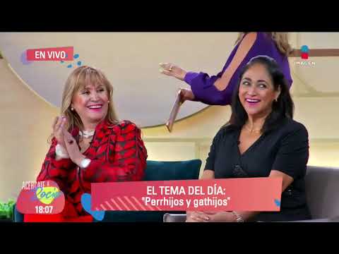 Prefiero tener perros que hijos    Acércate a Rocío