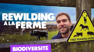 Download lagu 20 ans de réensauvagement à la ferme Knepp mp3 Download lagu 20 ans de réensauvagement à la ferme Knepp mp3