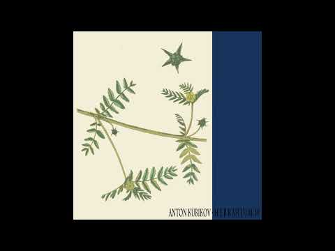 Anton Kubikov – Soul City Express