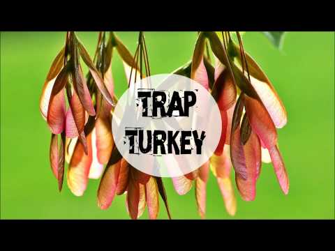 Trapzillas ft. BeazyTymes - Choke Hold