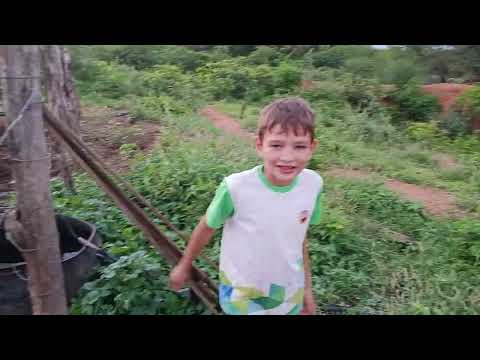 OLHA QUE CENÁRIO BELÍSSIMO, A LINDA BARRAGEM DE CACHOEIRA II EM SERRA TALHADA PERNAMBUCO 