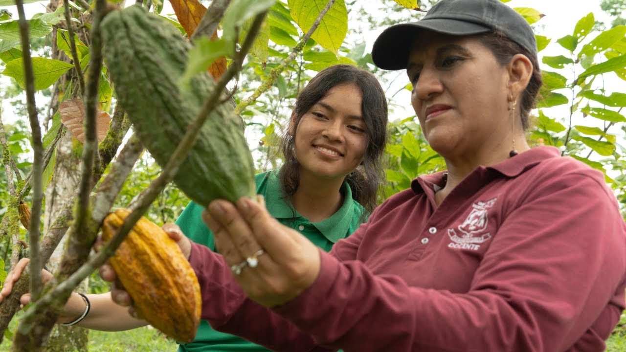 VVOB Ecuador ¡VAMOS! Vinculando el agro- aprendizaje para un mundo sostenible (subtítulos español)