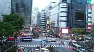 preview picture of video 'Tokyo: templos, jardines y Shibuya'