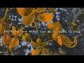 Stereo Heart 𝘼𝙚𝙨𝙩𝙝𝙚𝙩𝙞𝙘 WhatsApp Status Lyrical