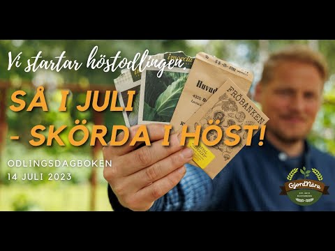 Alla våra knep för en stor höstskörd! - Odlingsdagboken 14 Juli 2023
