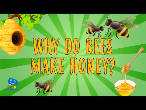 Why do Bees make Honey? | Educational Videos for Kids