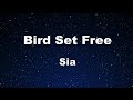 Karaoke♬ Bird Set Free - Sia 【No Guide Melody】 Instrumental