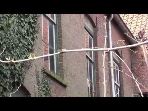 Gevelinspectie door Voeggarant - Monument076 - Oude Bredaseweg 10 in Etten-Leur